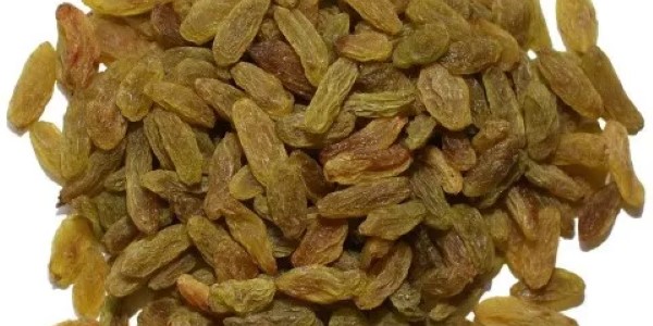 تصویر 2 از قیمت کشمش سبز قلمی درجه ۲ با کیفیت ارزان + خرید عمده